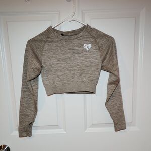 Gray Long Sleeve Gym Crop Top